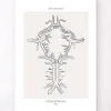 Circulus arteriosus - Line-art | Codex Anatomicus Hot