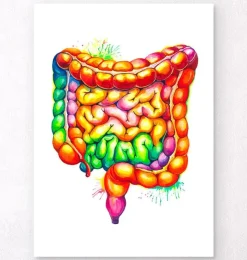 Darm Anatomie Kunst - Aquarell | Codex Anatomicus Hot
