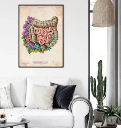Darmanatomie - Floral - Vintage | Codex Anatomicus Clearance