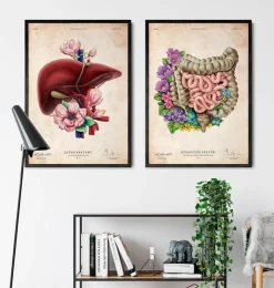 Darmanatomie - Floral - Vintage | Codex Anatomicus Clearance