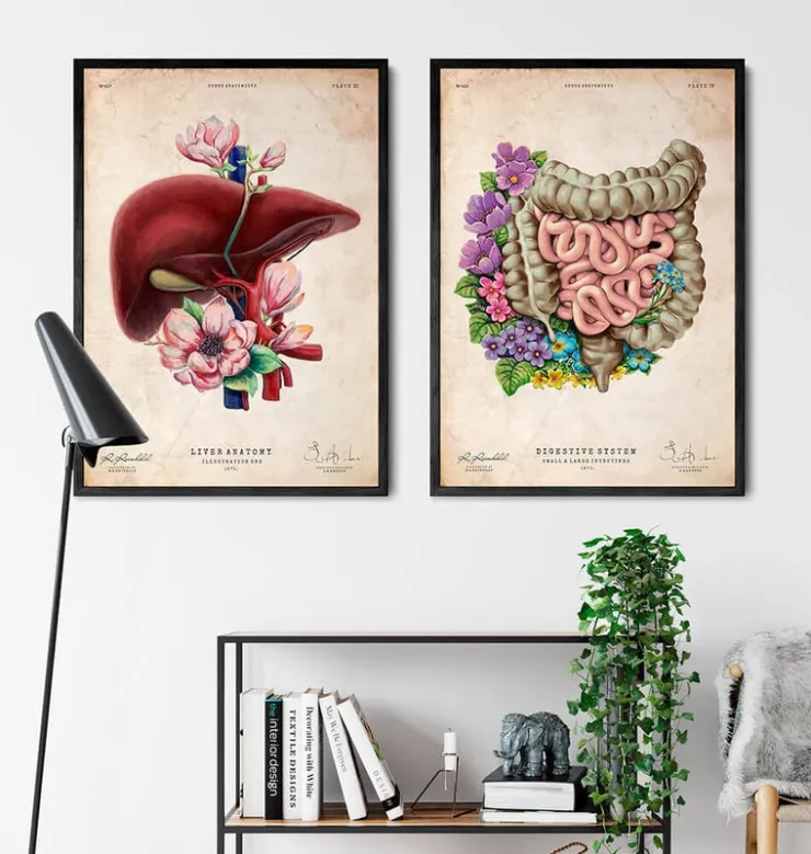 Darmanatomie - Floral - Vintage | Codex Anatomicus Clearance