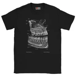 Dental Unisex T-Shirt - Chalkboard | Codex Anatomicus Sale