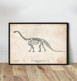 Dinosaurier Skelett - Apatosaurus | Codex Anatomicus Best