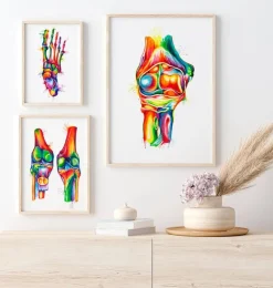Ellbogen Anatomie - Aquarell | Codex Anatomicus Fashion