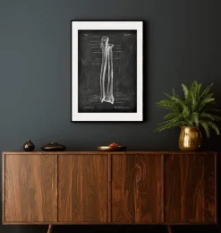Elle und Speiche - Chalkboard | Codex Anatomicus Fashion