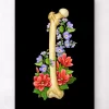Femur Anatomie - Floral - Schwarz | Codex Anatomicus Sale