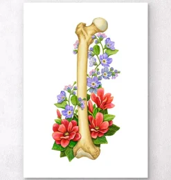 Femur Anatomie - Floral - Weiß | Codex Anatomicus Online