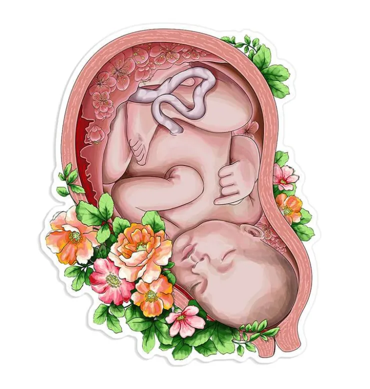Fötus Aufkleber - Floral | Codex Anatomicus Clearance