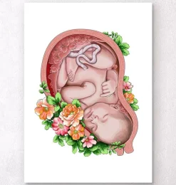 Fötus im Mutterleib II - Floral - Weiß | Codex Anatomicus Clearance