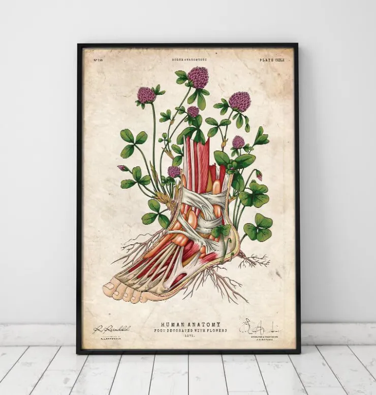 Fuß Anatomie - Floral | Codex Anatomicus New