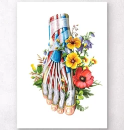 Fuß Anatomie - Floral - Weiß | Codex Anatomicus Online
