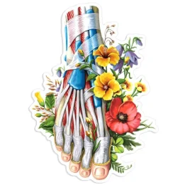 Fuß Anatomie Aufkleber - Floral | Codex Anatomicus Discount