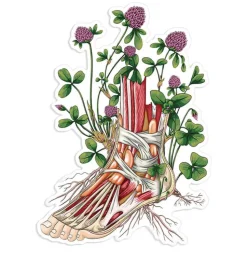 Fuß Anatomie Aufkleber II - Floral | Codex Anatomicus Clearance