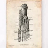 Fuß Anatomie Kunstdruck IV | Codex Anatomicus Sale