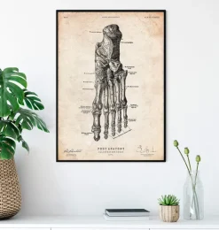 Fuß Anatomie Kunstdruck IV | Codex Anatomicus Sale