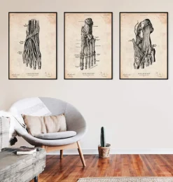 Fuß Anatomie Kunstdruck IV | Codex Anatomicus Sale