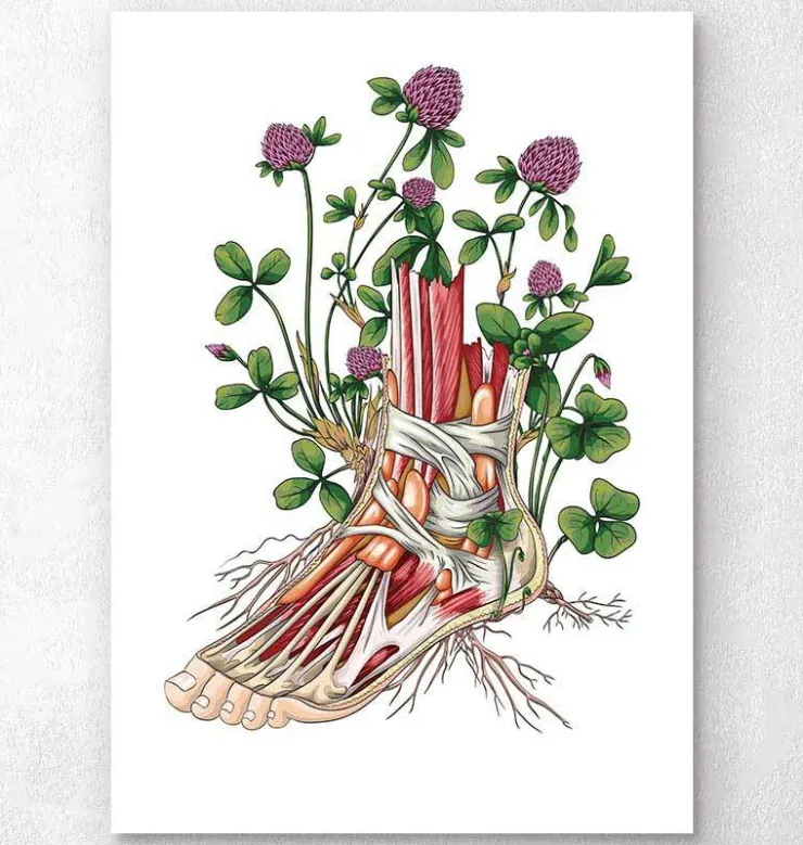 Fuß Anatomie mit Blumen | Codex Anatomicus Outlet