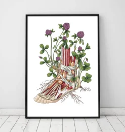 Fuß Anatomie mit Blumen | Codex Anatomicus Outlet