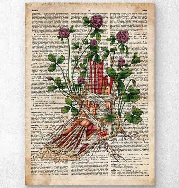 Fuß Anatomie mit Blumen - Altes Wörterbuch | Codex Anatomicus Hot