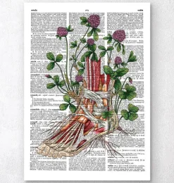 Fuß Anatomie mit Blumen - Wörterbuch | Codex Anatomicus Best