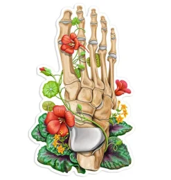 Fußknochen Aufkleber - Floral | Codex Anatomicus Clearance