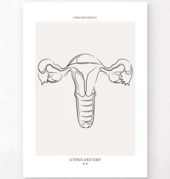 Gebärmutter Anatomie - Line-Art | Codex Anatomicus Best