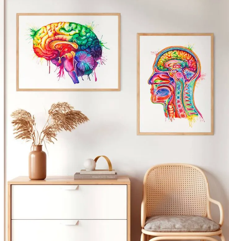 Gehirn Anatomie - Aquarell | Codex Anatomicus Hot