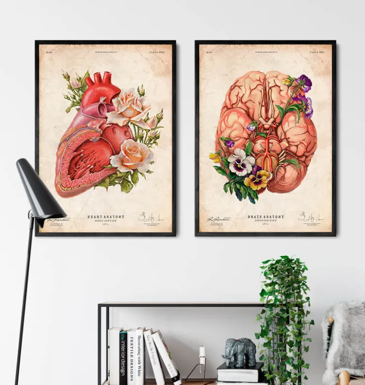 Gehirn Anatomie - Blumen - Altes Papier | Codex Anatomicus Online