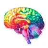 Gehirn Anatomie Aufkleber - Aquarell | Codex Anatomicus Online