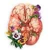 Gehirn Anatomie Aufkleber - Floral | Codex Anatomicus Fashion