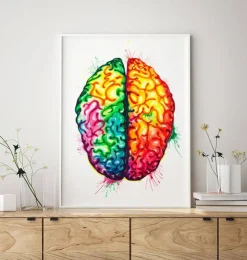 Gehirn Anatomie II - Aquarell | Codex Anatomicus Clearance