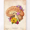 Gehirn Anatomie II - Floral - Altes Papier | Codex Anatomicus Online