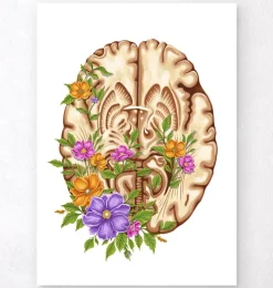 Gehirn Anatomie III - Floral - Weiß | Codex Anatomicus Best