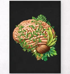 Gehirn Anatomie IV - Floral - Vintage | Codex Anatomicus Discount