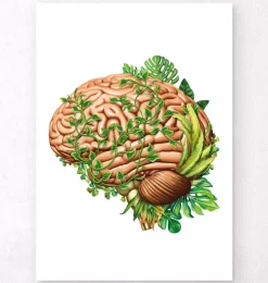 Gehirn Anatomie IV - Floral - Vintage | Codex Anatomicus Sale