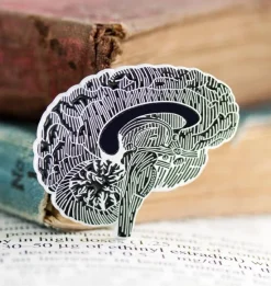 Gehirn 'Chalkboard' Stil - Emaille Pin | Codex Anatomicus Online