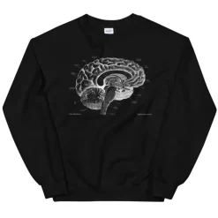 Gehirn I Unisex Sweatshirt - Chalkboard | Codex Anatomicus Discount