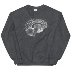 Gehirn I Unisex Sweatshirt - Chalkboard | Codex Anatomicus Discount