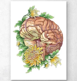 Gehirn mit Blumen | Codex Anatomicus Sale