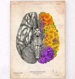 Gehirn mit Blumen - Altes Papier | Codex Anatomicus Fashion