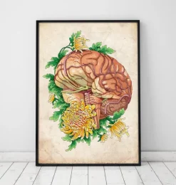 Gehirn mit Blumen - Altes Papier | Codex Anatomicus Clearance