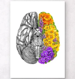 Gehirn mit Blumen - Weiß | Codex Anatomicus Fashion