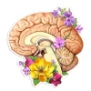 Gehirn Seite Anatomie Aufkleber - Floral | Codex Anatomicus Online