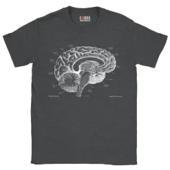 Gehirn Unisex T-Shirt - Chalkboard | Codex Anatomicus Online