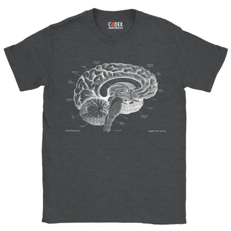 Gehirn Unisex T-Shirt - Chalkboard | Codex Anatomicus Online