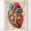 Geometrische Herzanatomie - Altes Wörterbuch | Codex Anatomicus Hot