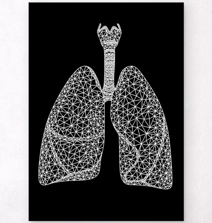Geometrische Lungen - Schwarz | Codex Anatomicus Hot