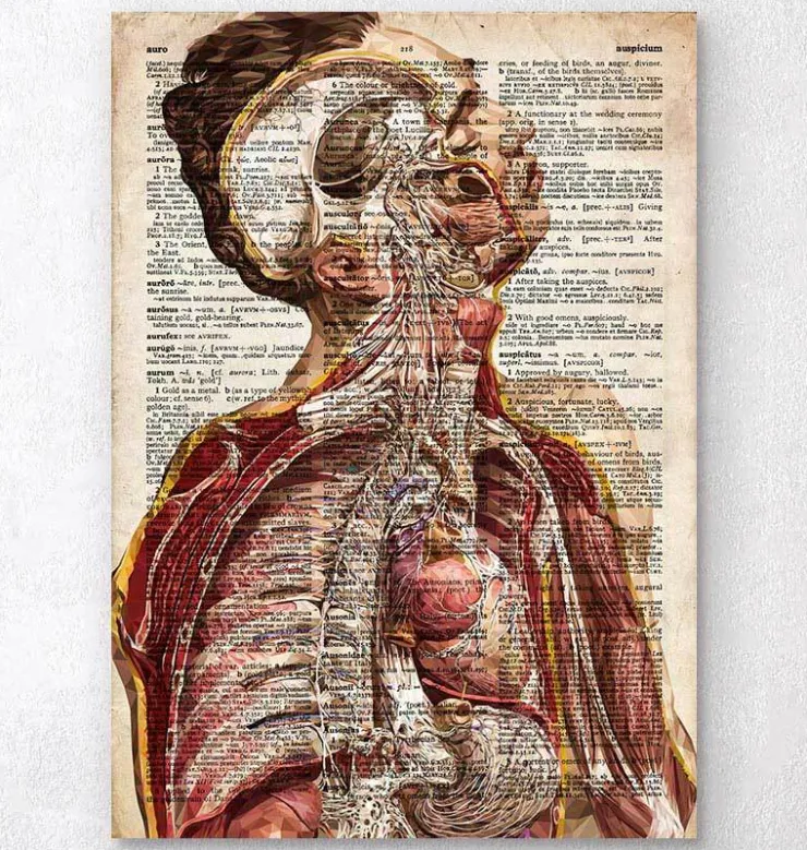 Geometrische menschliche Anatomie II - Altes Wörterbuch | Codex Anatomicus Hot