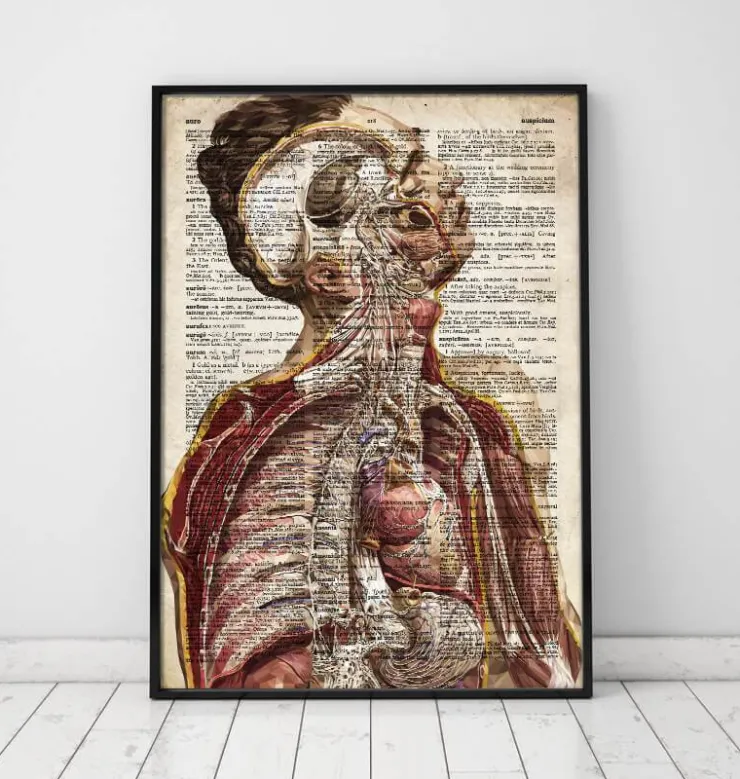 Geometrische menschliche Anatomie II - Altes Wörterbuch | Codex Anatomicus Hot