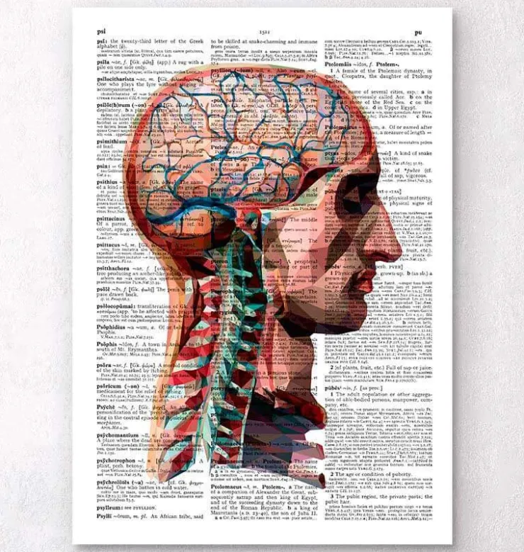 Geometrischer Kopf und Gehirn - Wörterbuch | Codex Anatomicus Outlet